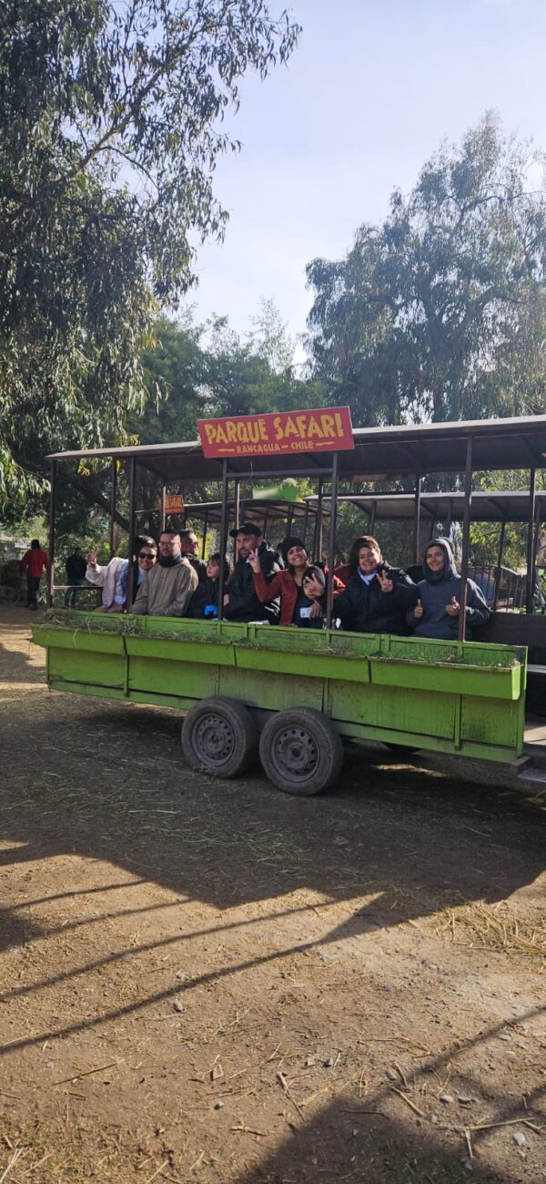 Safari Leones Experience