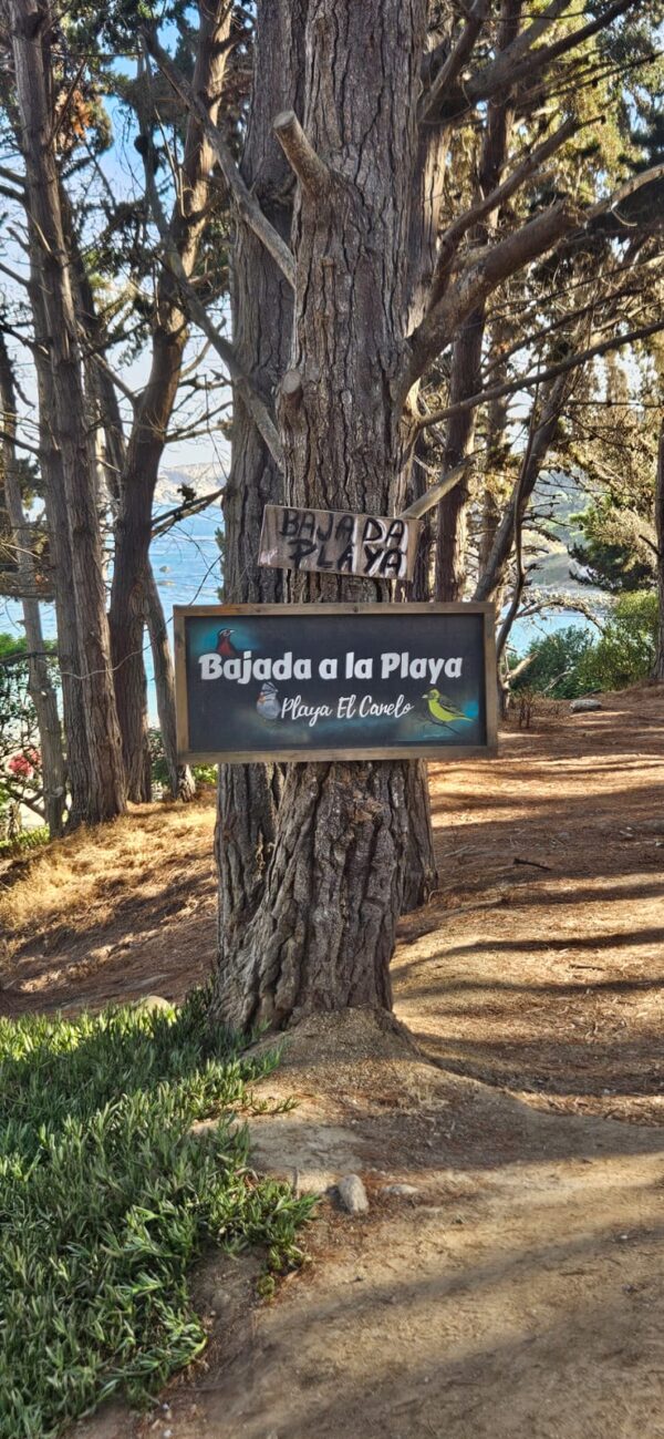Viaje especial Playa, Santiago- Cartagena y Algarrobo - Imagen 7